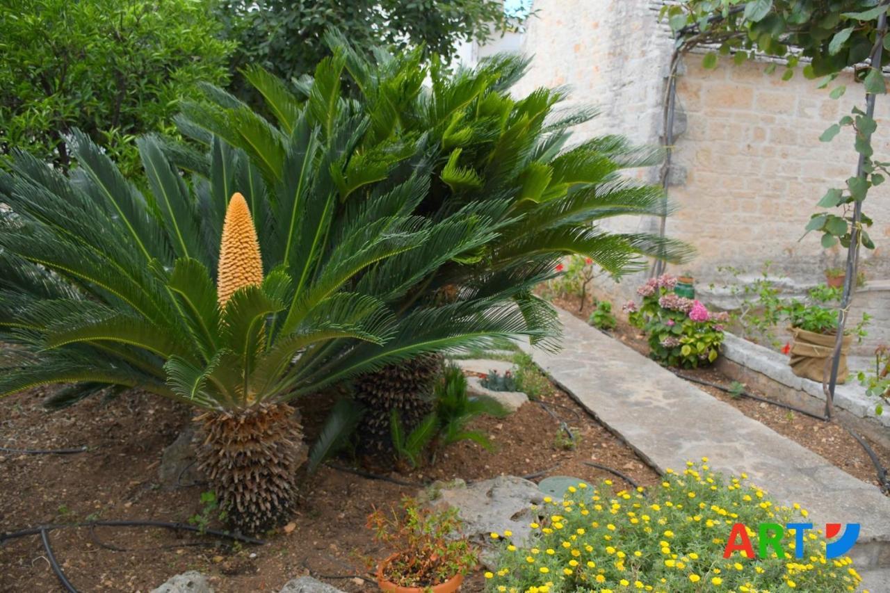 Вилла Trullo Al Vicoletto Al Civico 10, Civico 8, Civico 7 Альберобелло Экстерьер фото